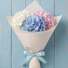 Букет цветов из:  Гортензия в Масловский