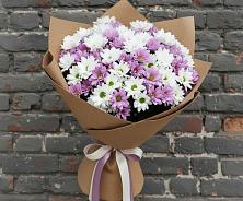 Букет цветов из:  Хризантемы #REPLACE_PRED# Масловский