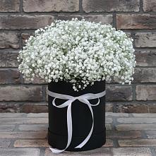 Цветочная композиция из Гипсофила в шляпной коробке в Масловский