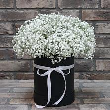 Цветочная композиция из Гипсофила в шляпной коробке в Масловский