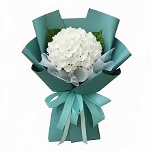 Букет цветов из:  Гортензия в Масловский